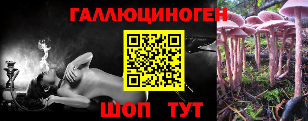 Верхняя Салда  Псилоцибиновые грибы Cubensis  Вход с VPN 